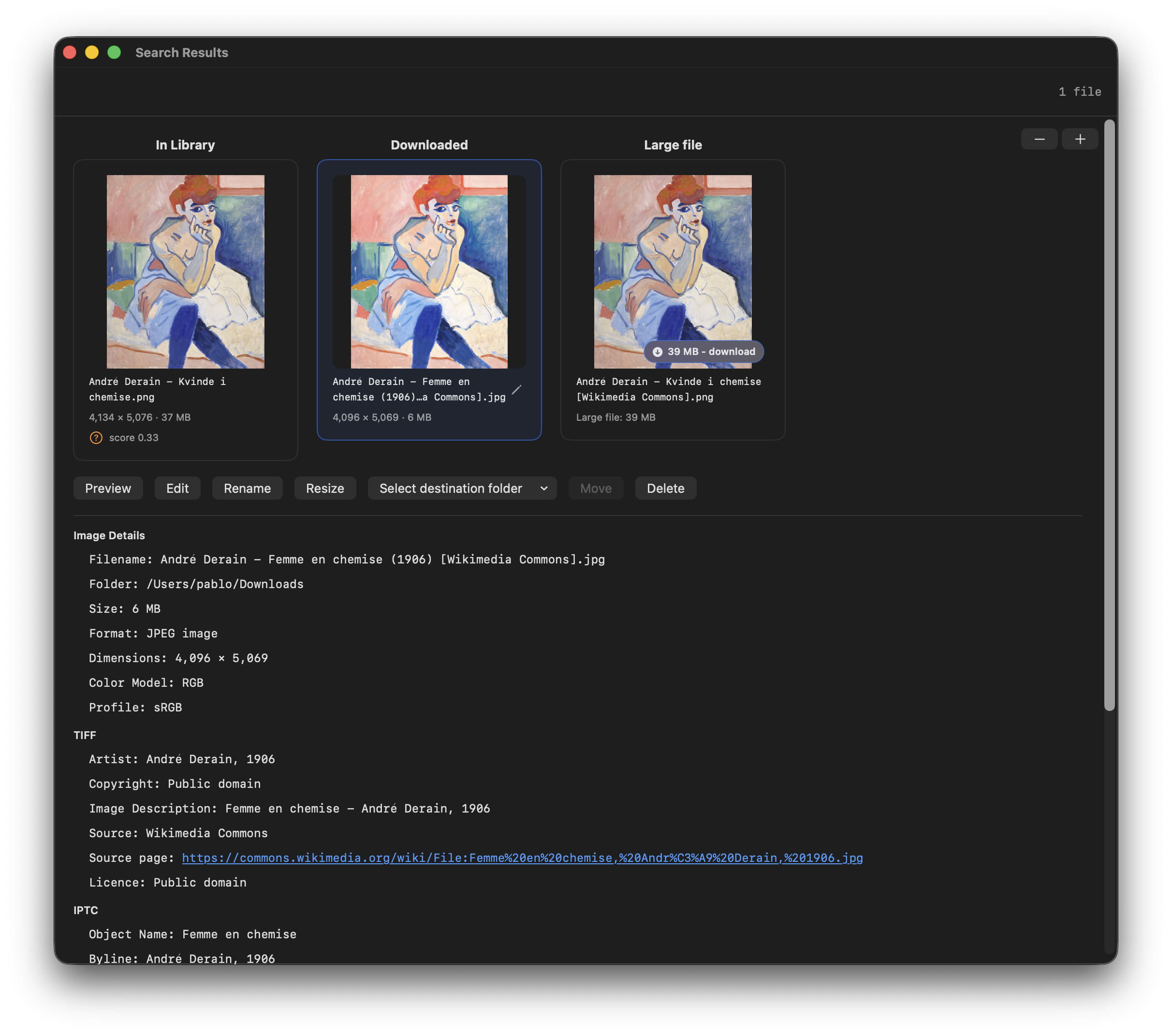 ArtFetcher's Search Results window, showing downloaded candidates.